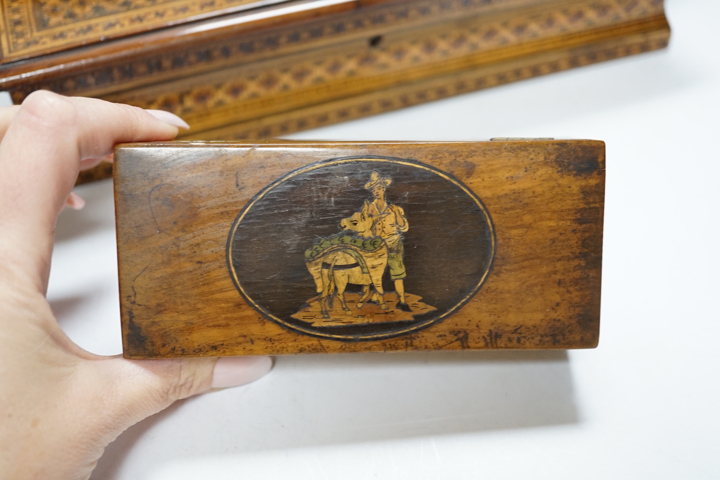 A George III domed box and two Sorrento ware boxes, largest 28cm